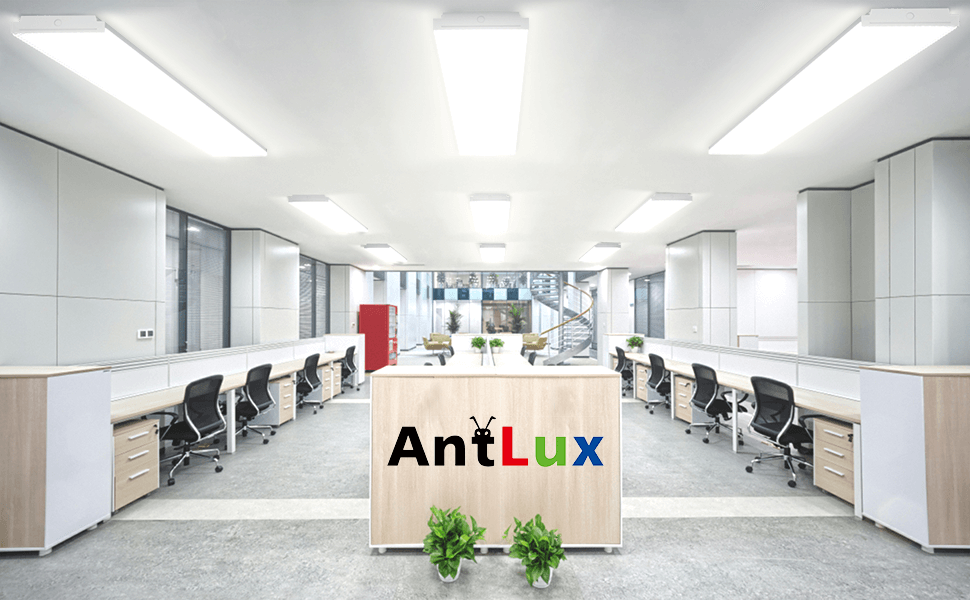 What is the Best LED Light for Office Work