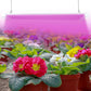 AntLux 4ft Full Spectrum LED Grow Light, 80W (600W Equivalent), with ON/Off Switch, Plug and Play, Linkable