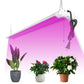AntLux 4 Foot LED Growing Lights 50W Full Spectrum Grow LED Light, Plug & Play with ON/Off Pull Chain, Linkable, 2 Pack