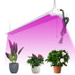 AntLux 4 Foot LED Growing Lights 50W Full Spectrum Grow LED Light, Plug & Play with ON/Off Pull Chain, Linkable